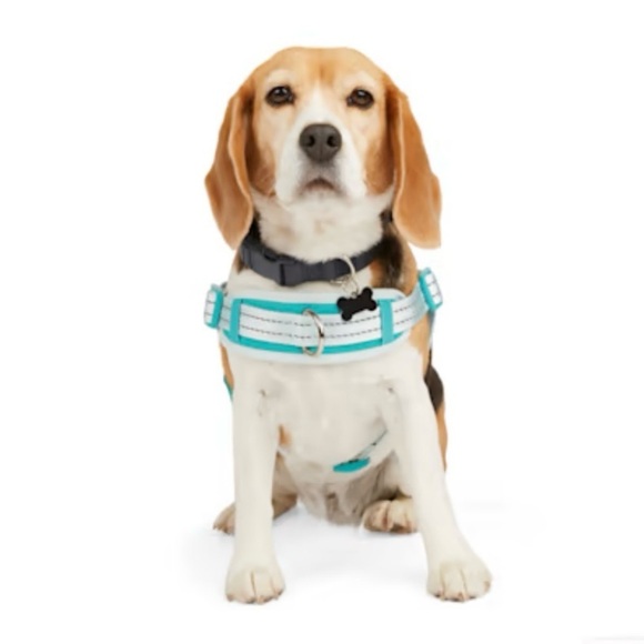 EVERYYAY Easy On Training Dog Harness in Blue - Picture 2 of 11